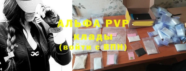спиды Богданович
