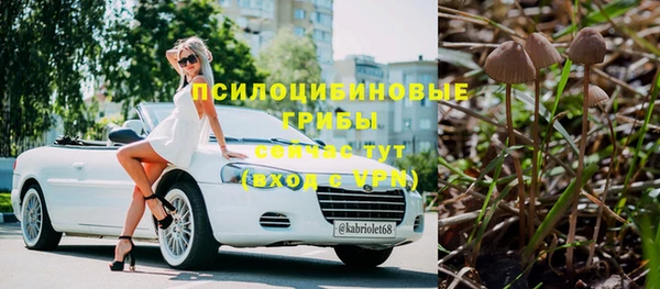 дживик Богородск