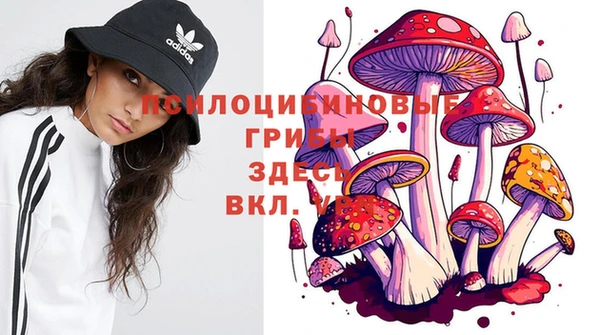 дживик Богородск