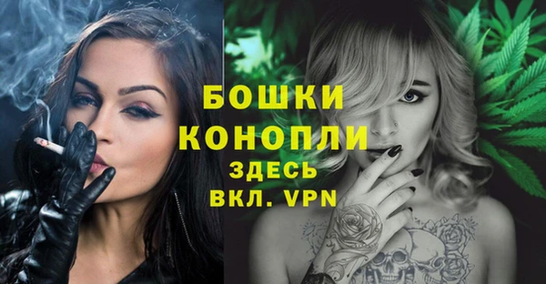 дживик Богородск