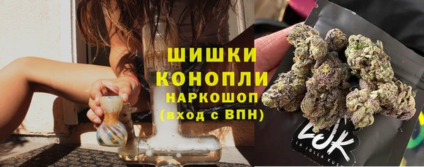 спиды Богданович