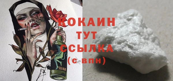 соль ск Богородицк