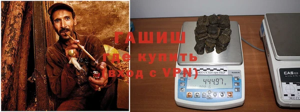 сатива Беломорск