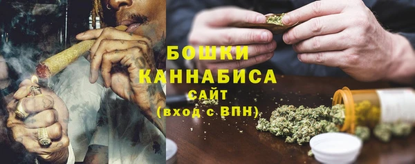дживик Богородск